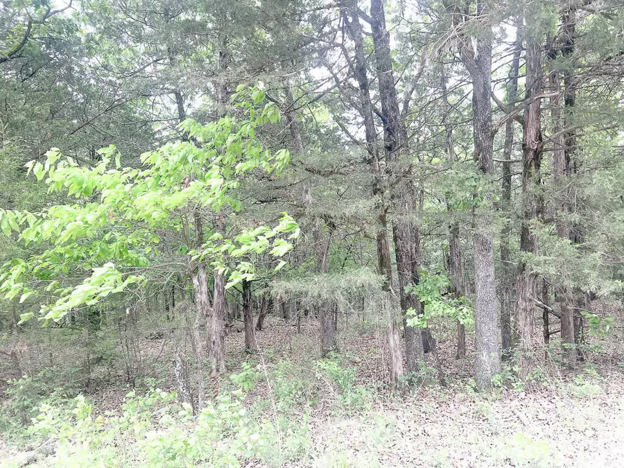 Tbd 000 County Road 656, Theodosia, MO 65761 - #2