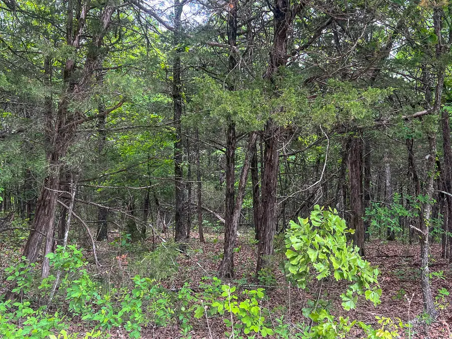 Tbd 000 County Road 656, Theodosia, MO 65761 - #3