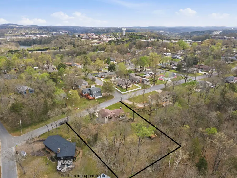 401 Walnut Lane, Branson, MO 65616 - #3