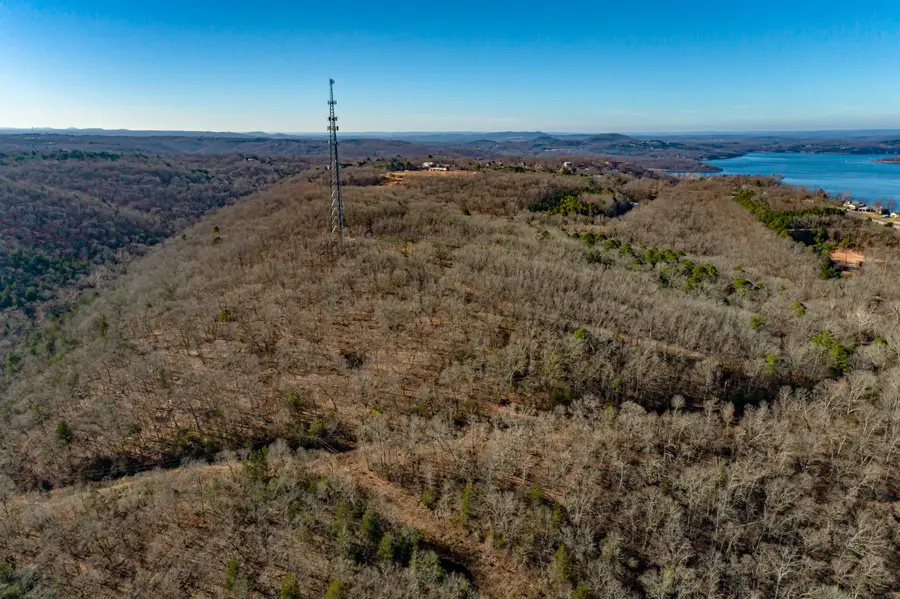 0000 Cassie Drive, Lampe, MO 65681 - #2