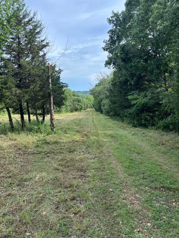 000 Highway T, Weaubleau, MO 65774