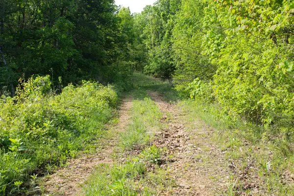 000 Terrace Lane, Cape Fair, MO 65624