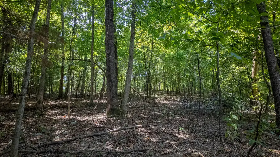 Lots 13&14 Riverbend Road, Mammoth Spring, AR 72554 - #3