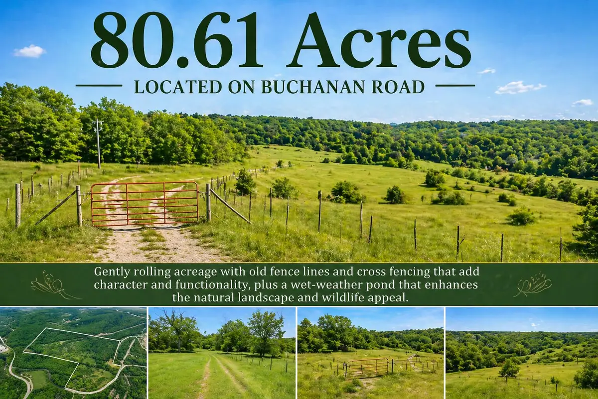 1584 Buchanan Road, Branson, MO 65616 - #1