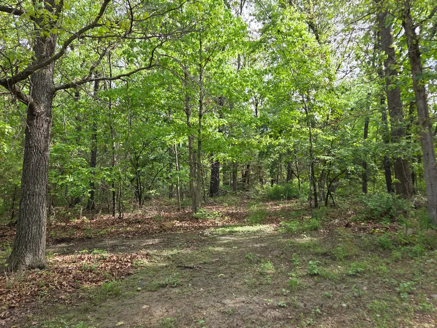 222 Thunder Road, Buffalo, MO 65622 - #3