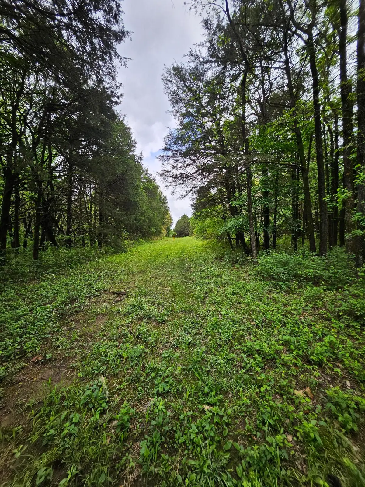 000 W Dade 2, Jerico Springs, MO 64756 - #1
