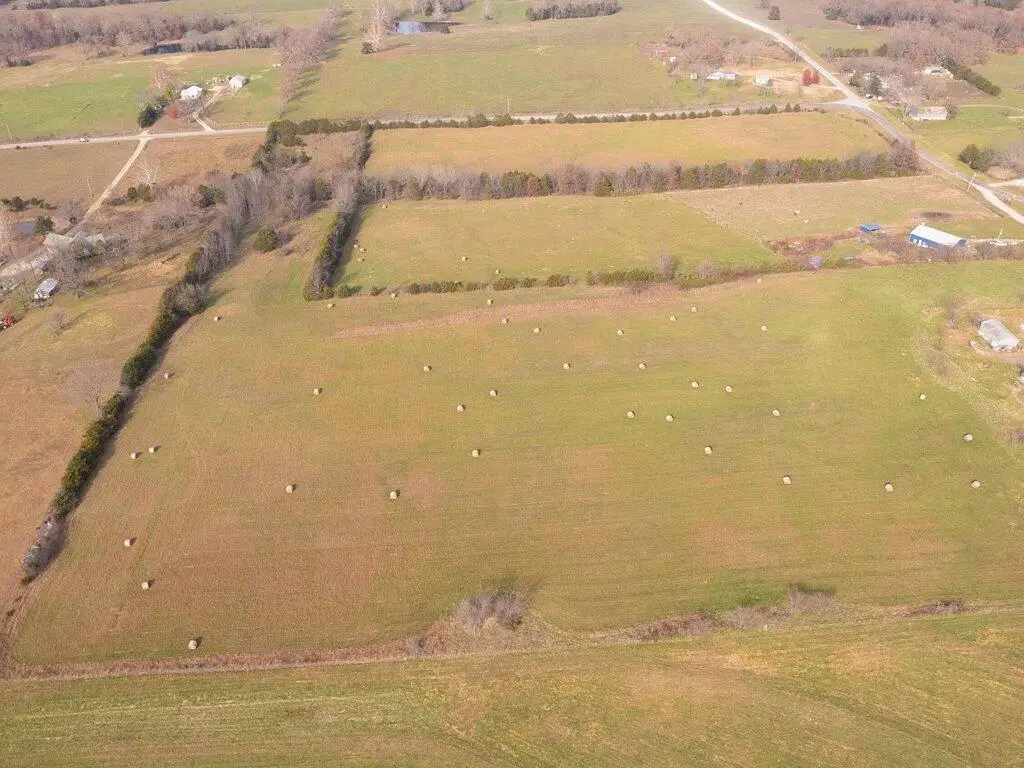 239 Ozark Loop #Lot 1, Conway, MO 65632 - #1