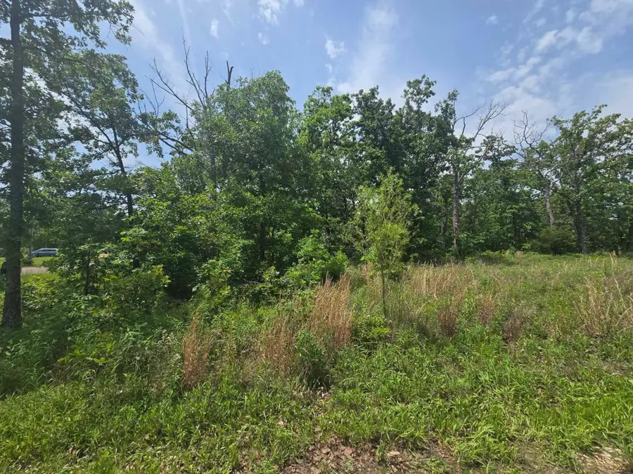 000 64 Hwy #Lot 2, Lebanon, MO 65536 - #3