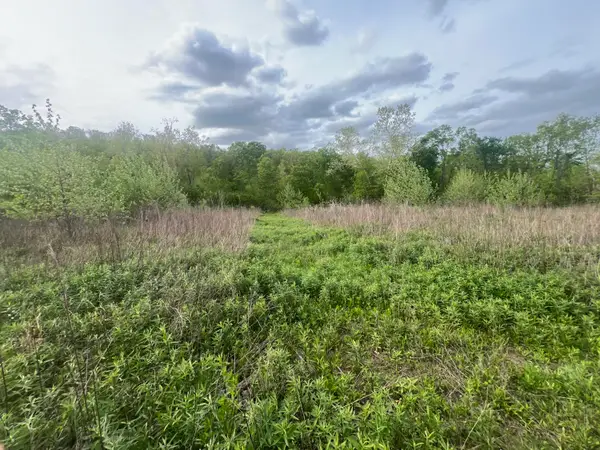 0000 Cedar Gap Central Lane, Mansfield, MO 65704