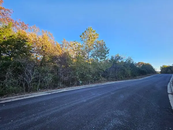 445 Bay View Drive, Hollister, MO 65672
