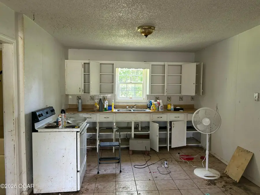 419 Mower Street, Joplin, MO 64801 - #3