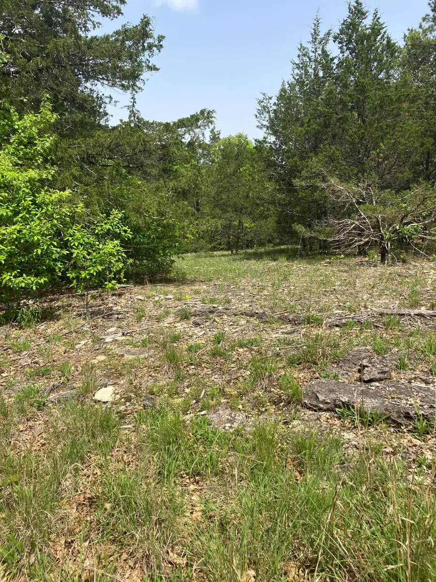 000 County Road V-234, Drury, MO 65638 - #3