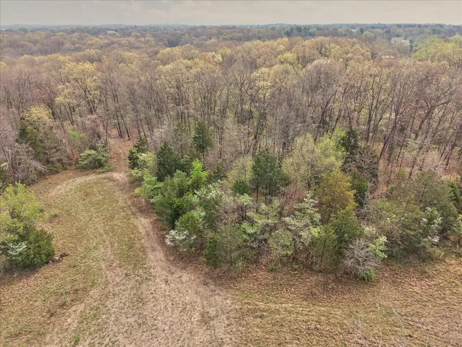 000 Thirteenth Road, Mountain Grove, MO 65711 - #3