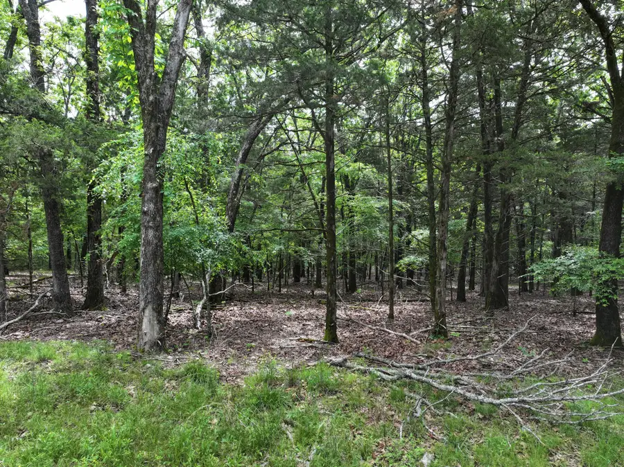 Lot 40&41 Timber Shoals Road, Cedar Creek, MO 65627 - #2