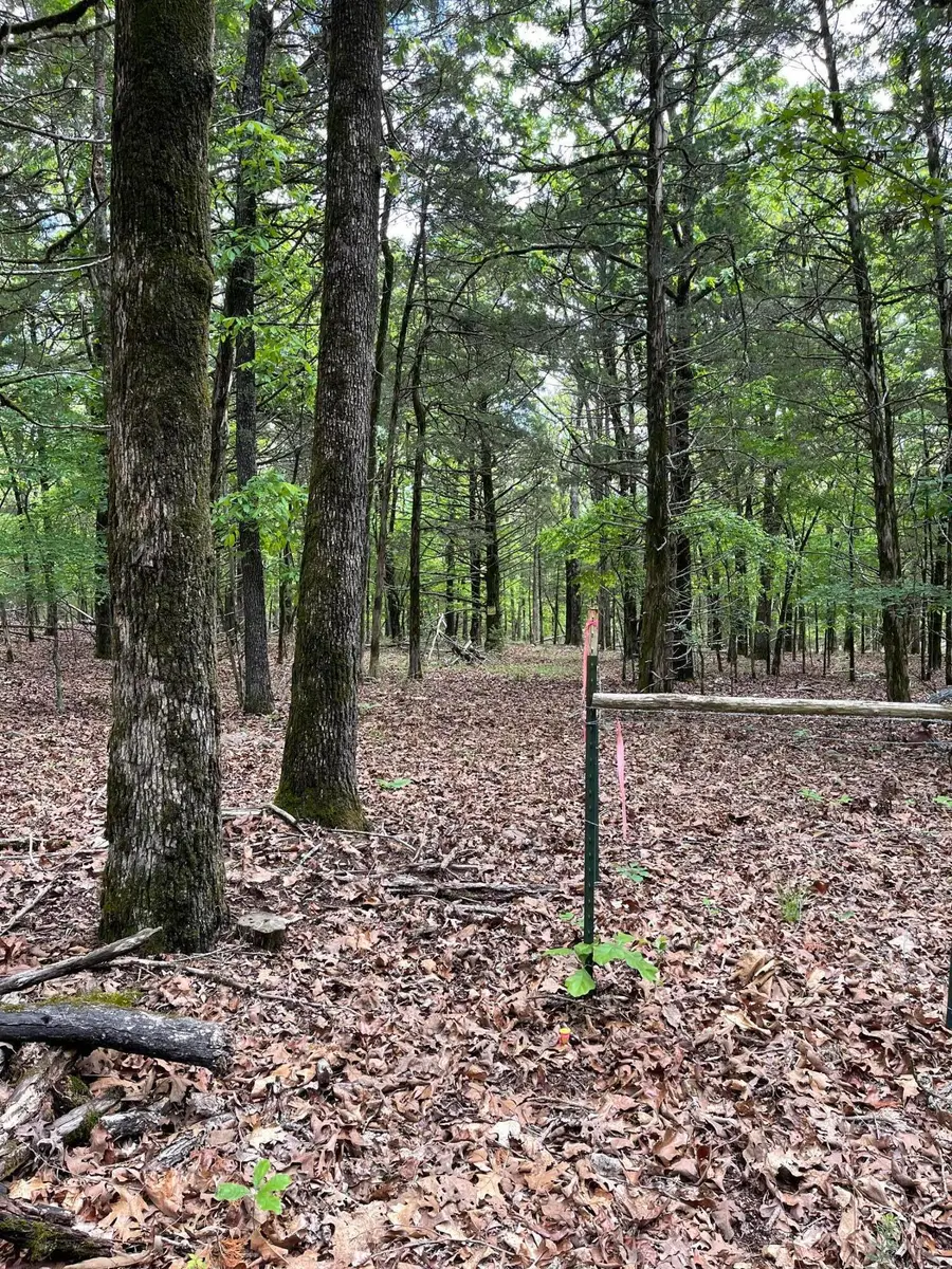 Lot 40&41 Timber Shoals Road, Cedar Creek, MO 65627 - #3