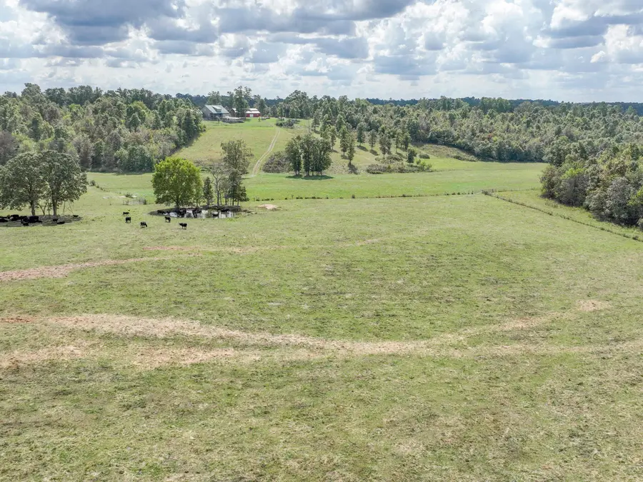 4083 State Route W, West Plains, MO 65775 - #3