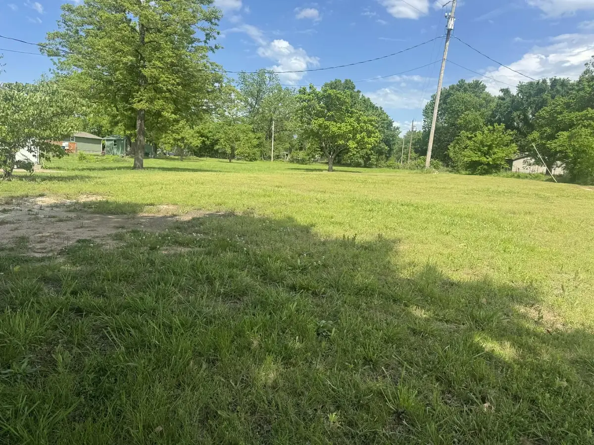 141 E White Street, Granby, MO 64844 - #1