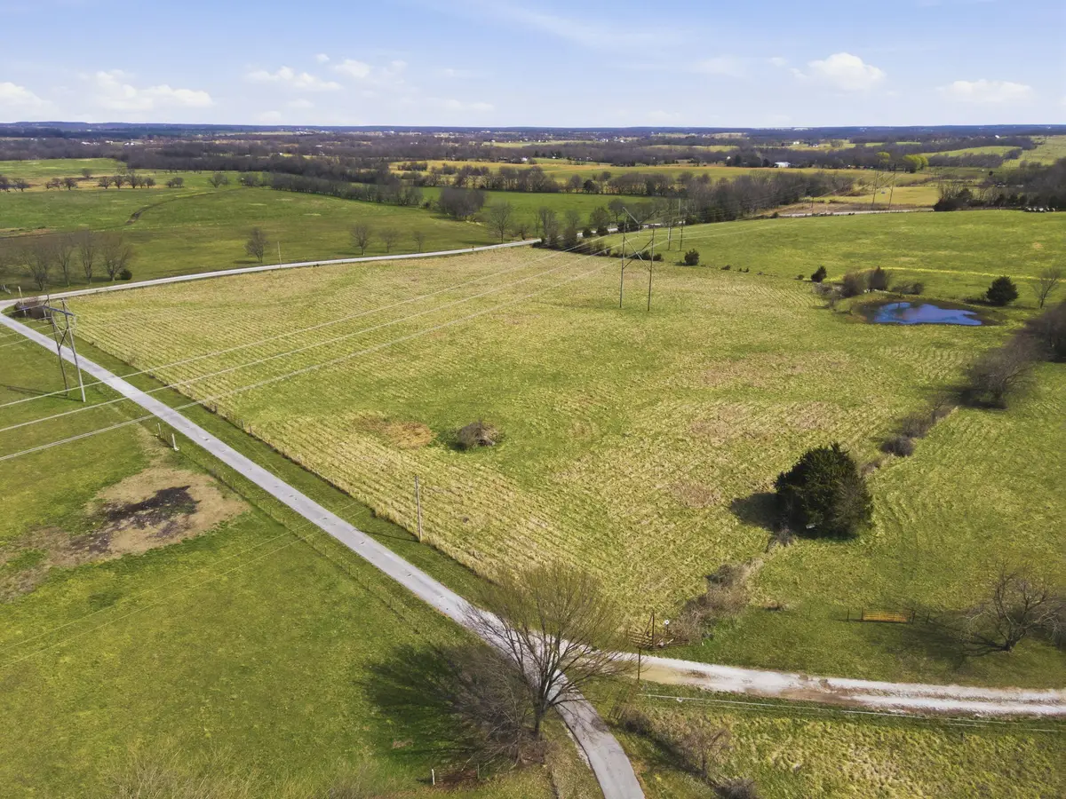 000 S Pond Willow Lane, Republic, MO 65738 - #1