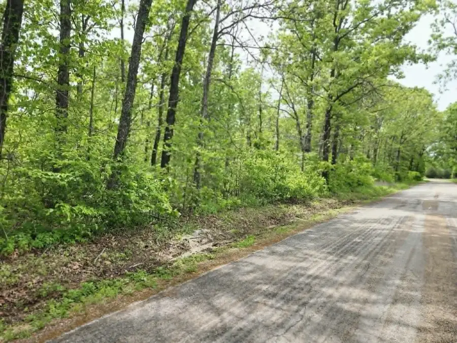 00 Thomas Road, Norwood, MO 65717 - #2