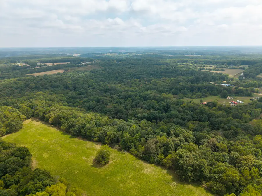 000 Richwood School House Road, Clever, MO 65631 - #3