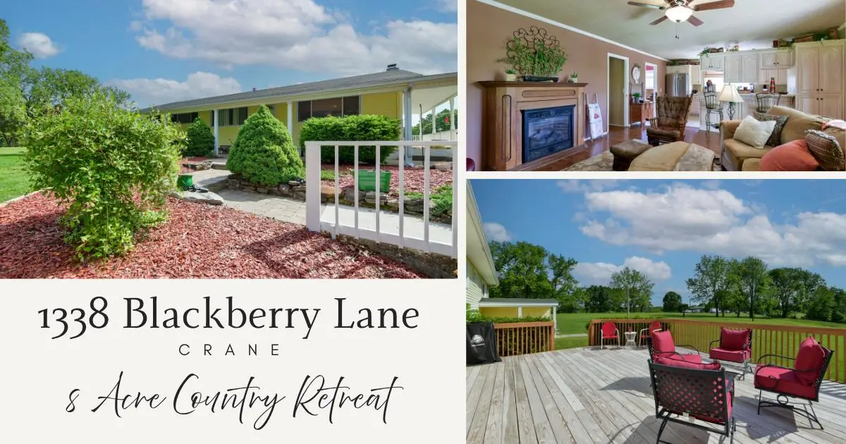 1338 Blackberry Lane, Crane, MO 65633 - #1