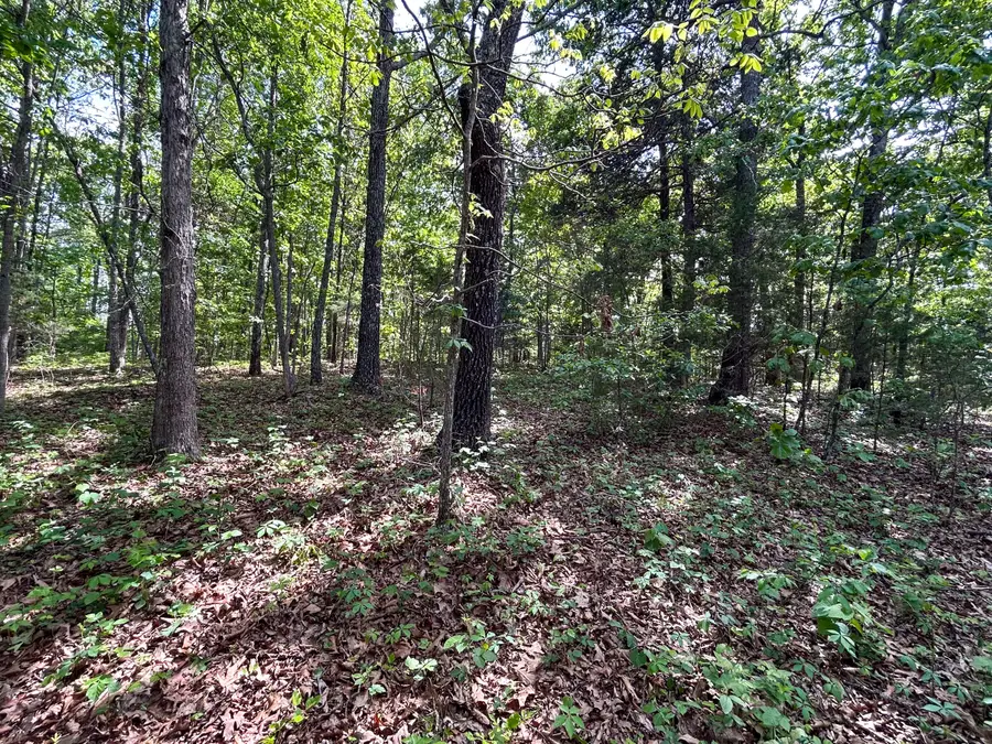 000 County Road 544, Bakersfield, MO 65609 - #2