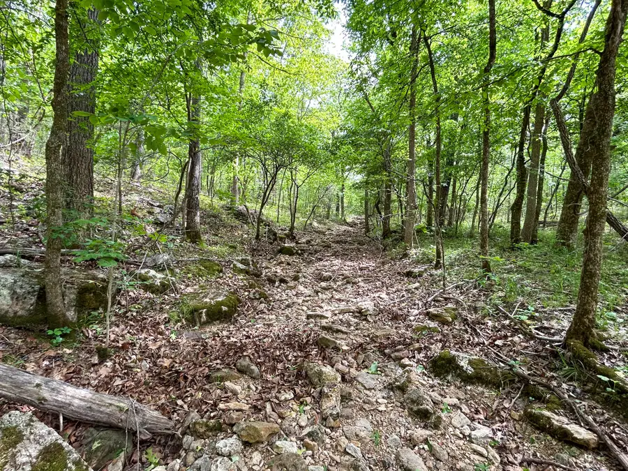 000 County Road 544, Bakersfield, MO 65609 - #3