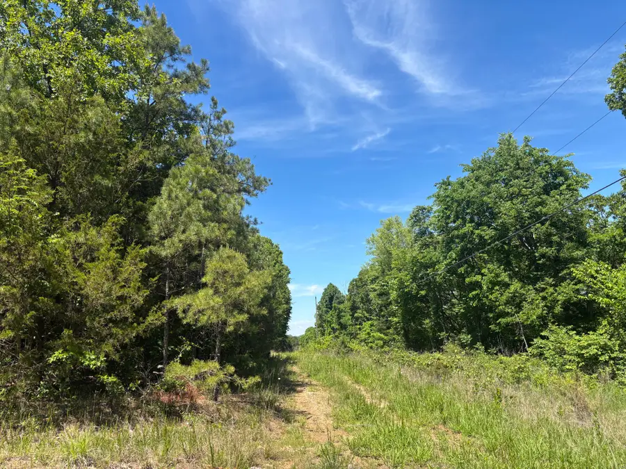 Tbd County Road 154, Brixey, MO 65618 - #2
