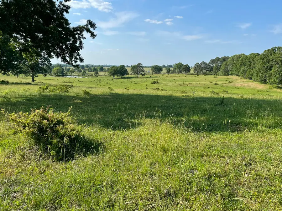 000 County Road 4300, West Plains, MO 65775 - #3