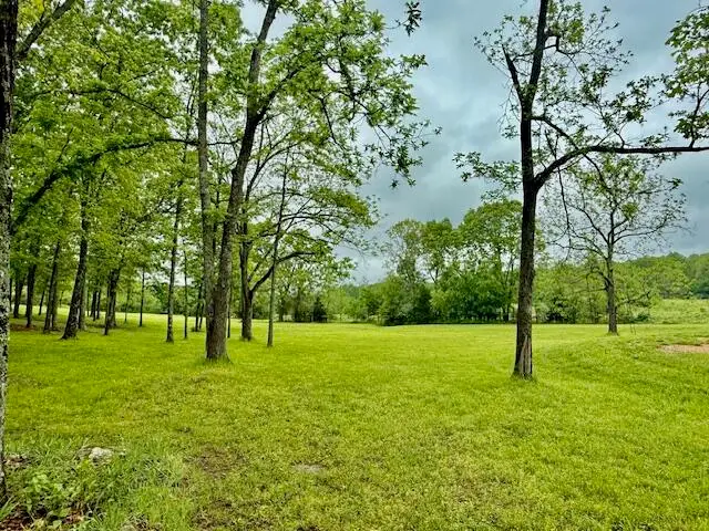 8898 County Road 9090, West Plains, MO 65775 - #3