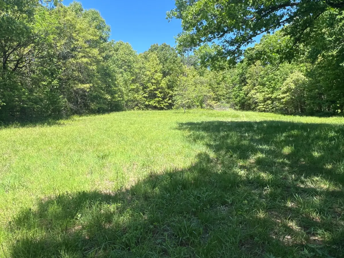Address Withheld By Seller, Humansville, MO 65674 - #1