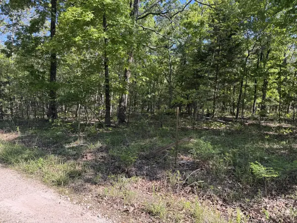 000 Mandrake Lane, Niangua, MO 65713