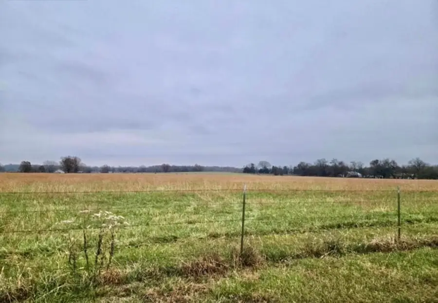 0001 County Road 220, Preston, MO 65732 - #2