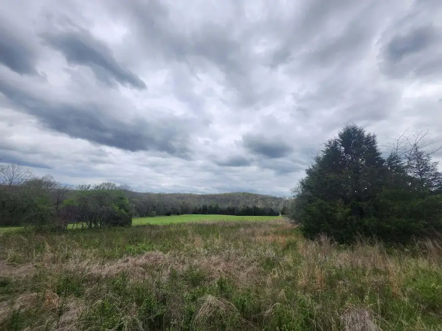 0 County Road 14-252, Drury, MO 65638 - #3