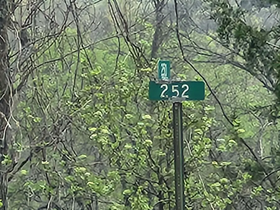 000 County Road 250, Drury, MO 65638 - #3