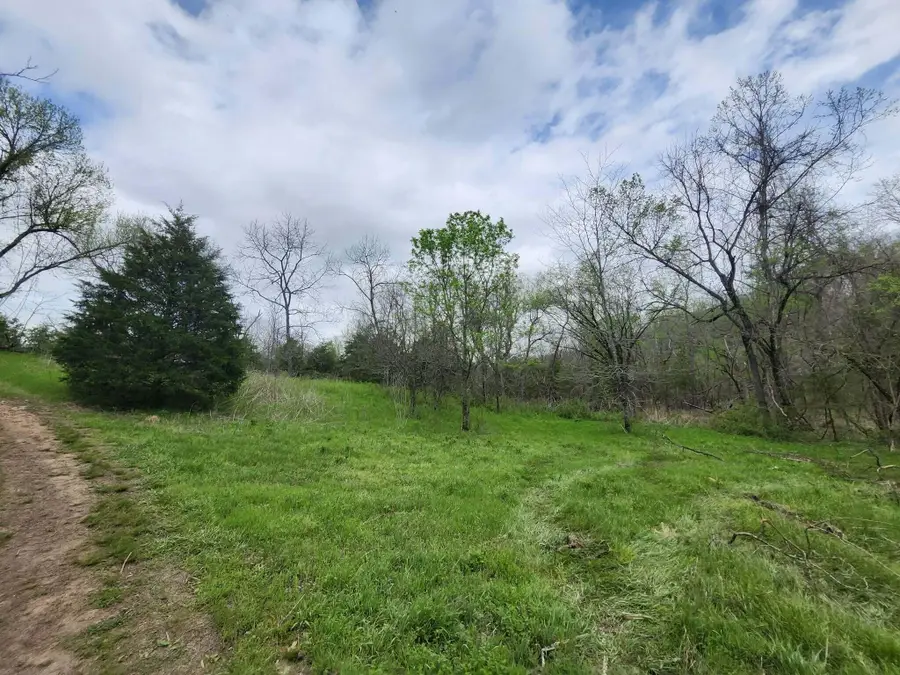 0 County Road 250-80, Drury, MO 65638 - #2