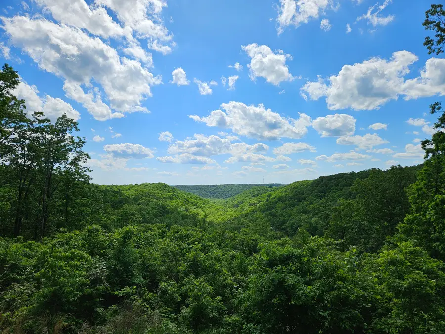 2489 Logan Ridge Road, Ozark, MO 65721 - #2