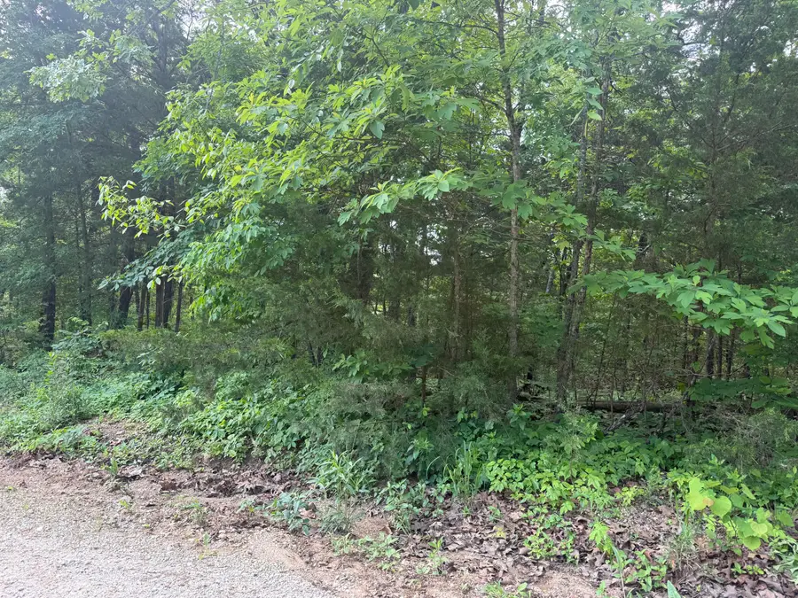 140 Trout Street, Kissee Mills, MO 65680 - #3