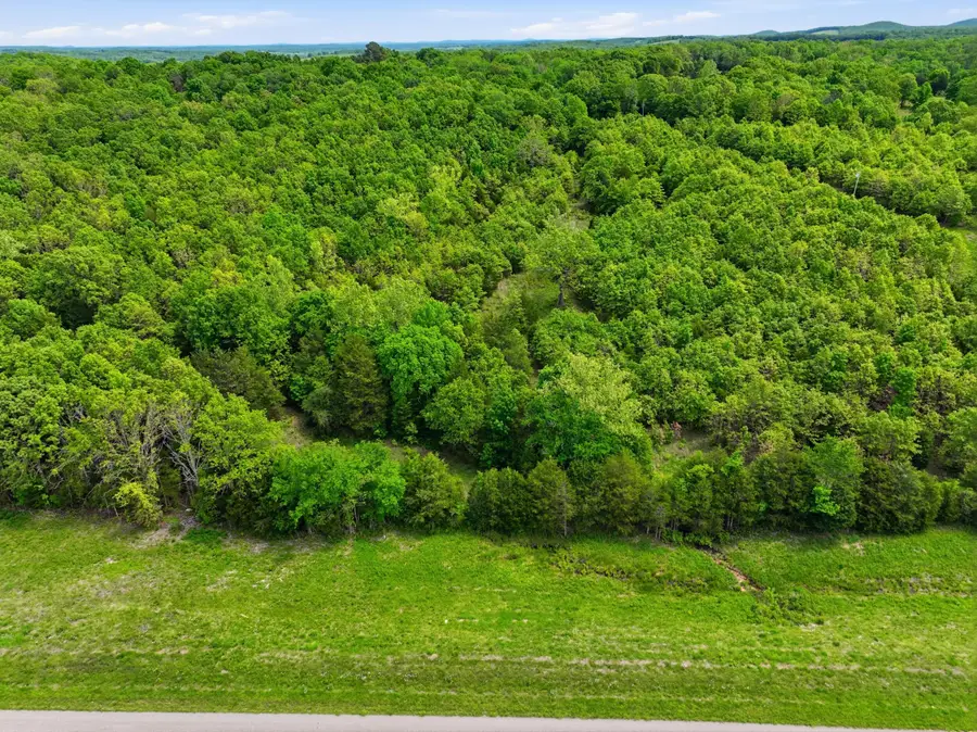23736 State Highway 5, Wasola, MO 65773 - #2