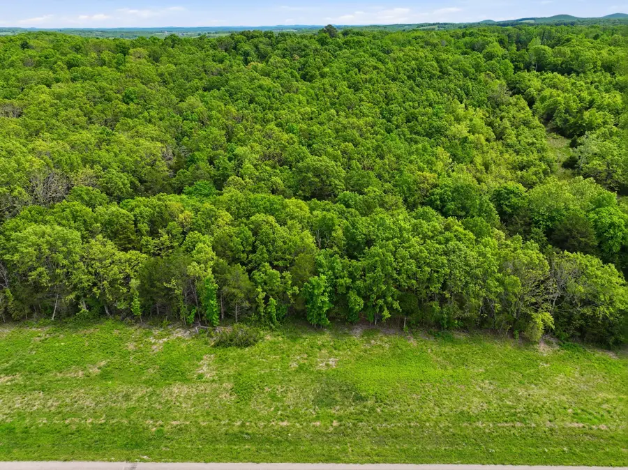 23736 State Highway 5, Wasola, MO 65773 - #3