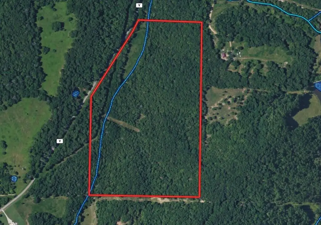 000 State Route V, Bakersfield, MO 65609 - #1