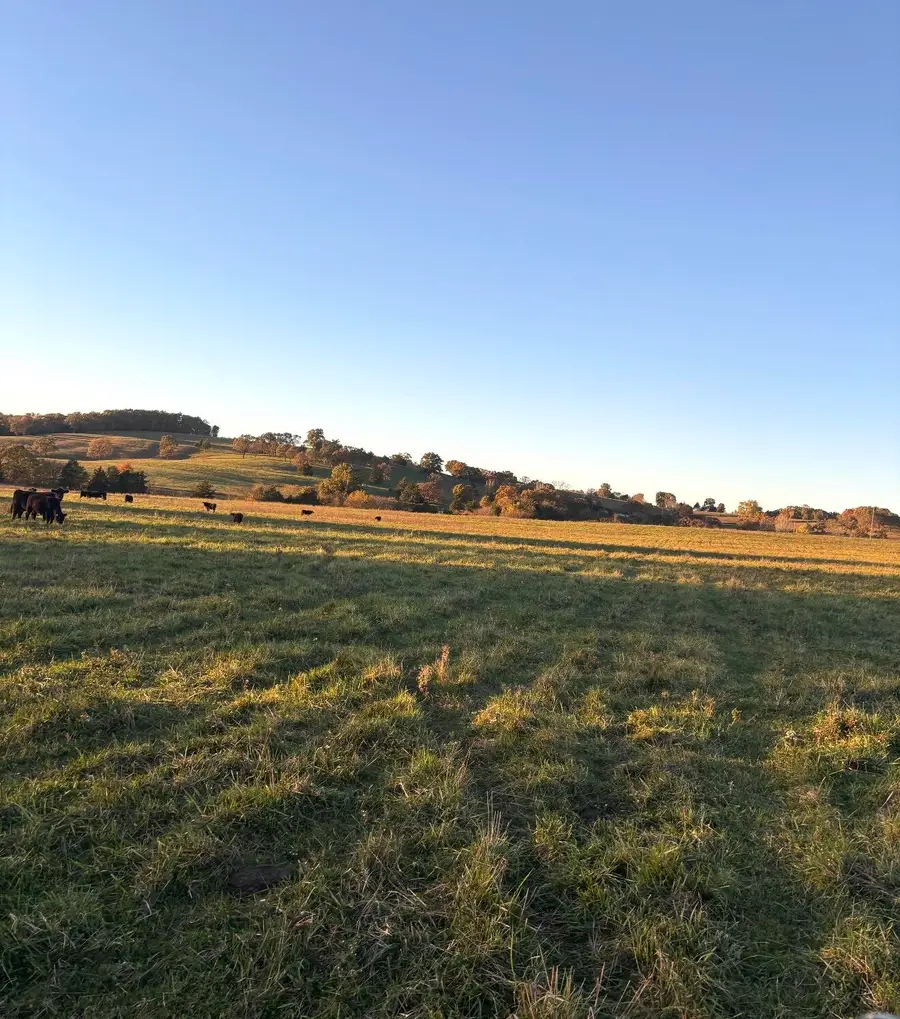 Hc 73 County Road 245, Drury, MO 65638 - #2