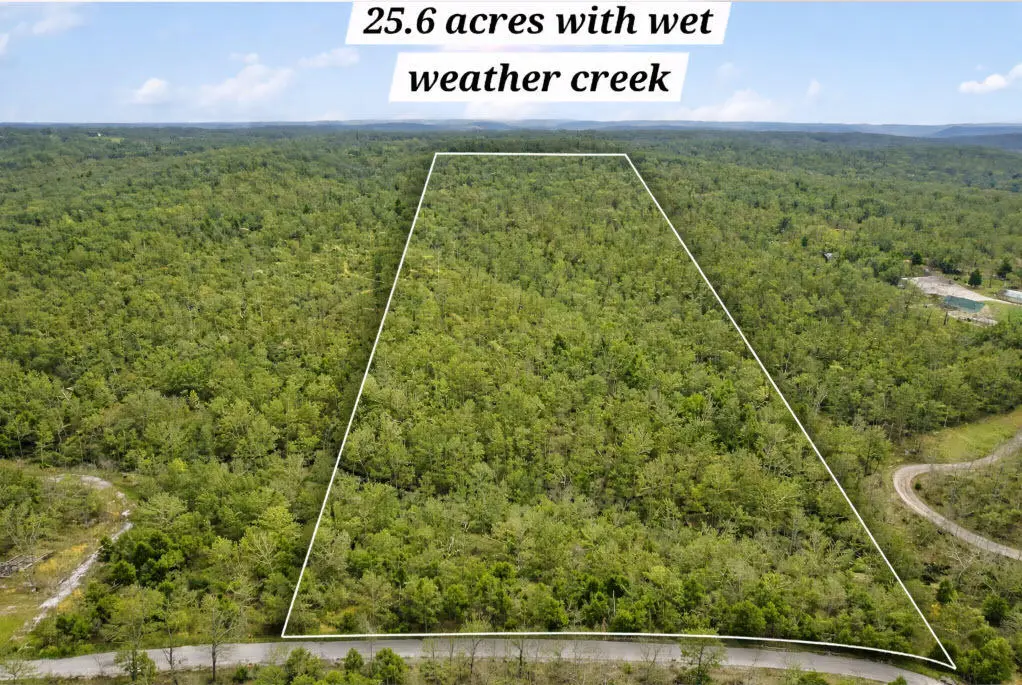 Lot 6 Scenic Heights, Bruner, MO 65620 - #1