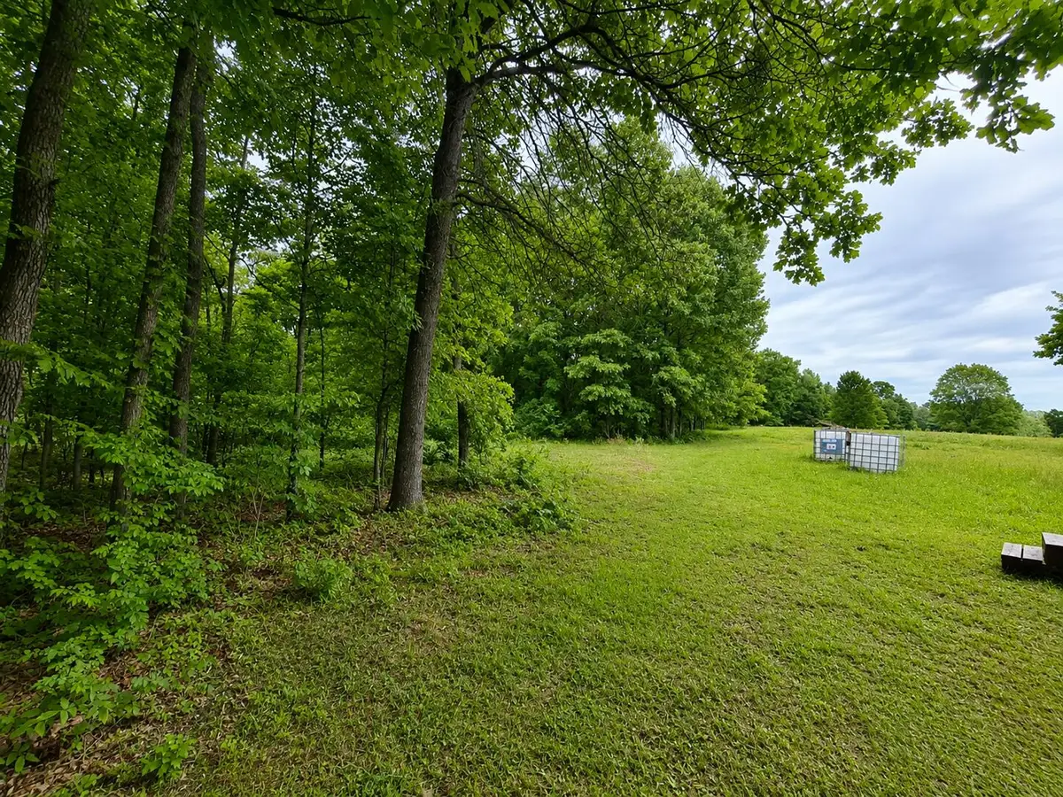 113 Wanda Drive, Squires, MO 65755 - #1