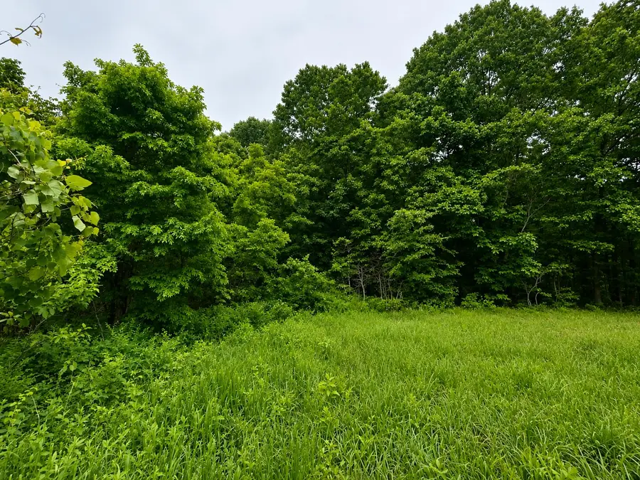 113 Wanda Drive, Squires, MO 65755 - #3