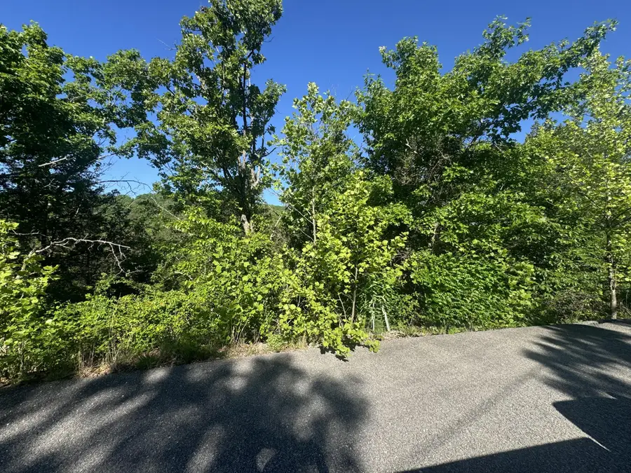 360 Timber Wolf Road #Lot 1, Hollister, MO 65672 - #2