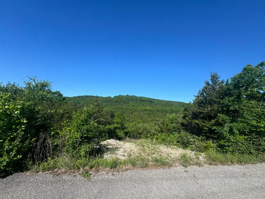 236 Timber Wolf Rd #Lot 9, Hollister, MO 65672 - #2