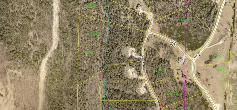 236 Timber Wolf Rd #Lot 9, Hollister, MO 65672 - #3