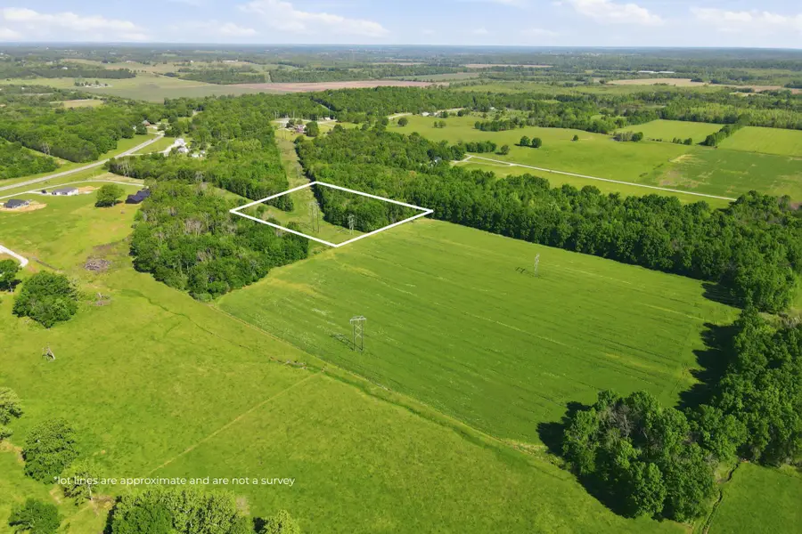 Lot 7 Highway 32, Stockton, MO 65785 - #3