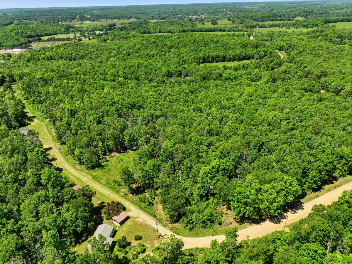 Tbd County Road 101, Alton, MO 65606 - #1